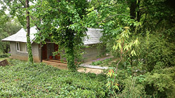 Cottage on a Himalayan tea estate.