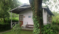 Cottage on a Himalayan tea estate.