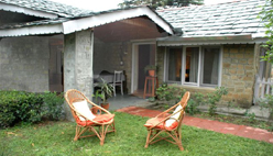 A cottage on a Himalayan tea estate.