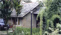 A cottage on a Himalayan tea estate.